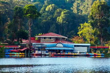 Kodaikanal, Tamilnadu - Rai Tours & Travels