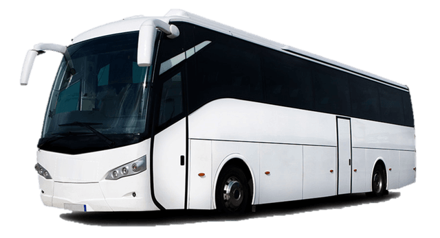 Bus - Rai Tours & Travels